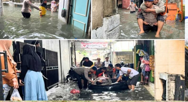 foto slider headline