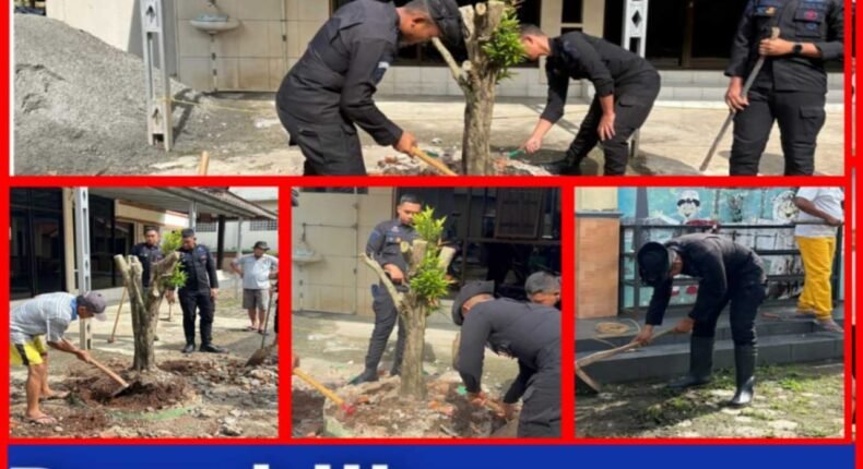 foto slider headline