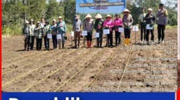 Dukung Swasembada Pangan, Polri Bersama Pemerintah Daerah Humbahas Tanam Jagung,