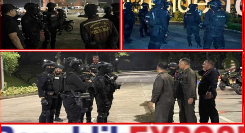 foto slider headline