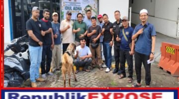 Penuh Kebersamaan, PWI Pokja Jakarta Barat Sukses Gelar Penyembelihan Hewan Qurban