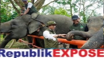 FKGI Dukung Arah Kebijakan Raja Juli Antoni, Infrastruktur Diminta Lindungi Koridor Gajah