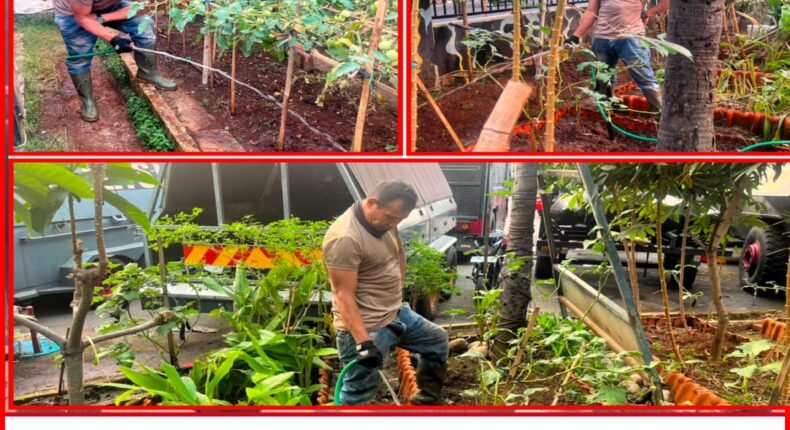foto slider headline
