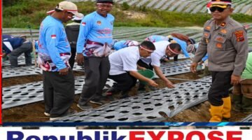 “Polri Untuk Negeri” Bupati Bersama Kapolres Tanam Bawang Putih di Humbahas.