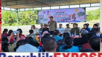 Bupati Humbahas: Petani Jangan Ragu Pengembangan Budidaya Bawang Putih .