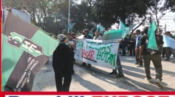 HMI Cabang Ciputat Gelar Aksi di Kementerian LHK, Desak Menhut Raja Juli Antoni Dicopot dan Karhutla Jadi Bencana Nasional